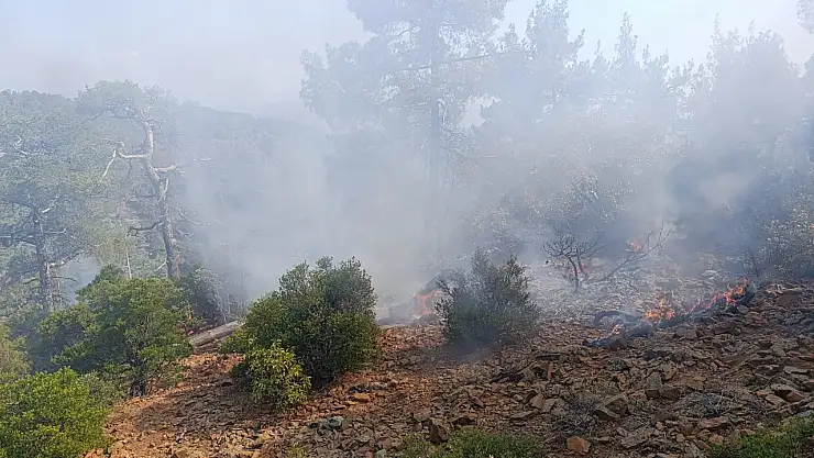 Denizli'de düşen yıldırım günler sonra yangına dönüştü