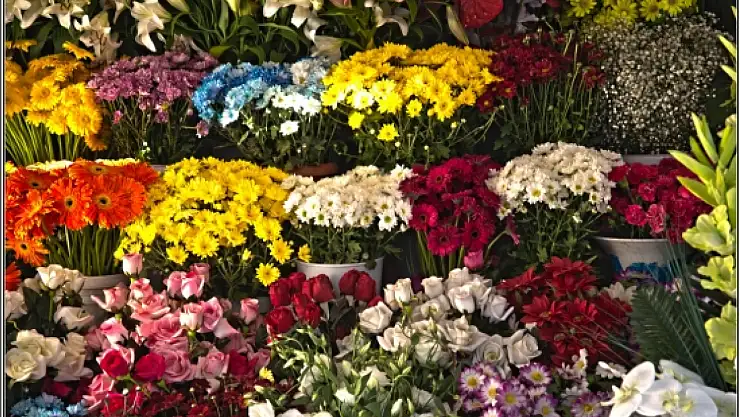 Doğanın 12 ay süren renkli takvimi