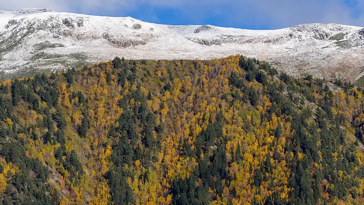 Doğanın farklı renkleriyle dikkati çekiyor