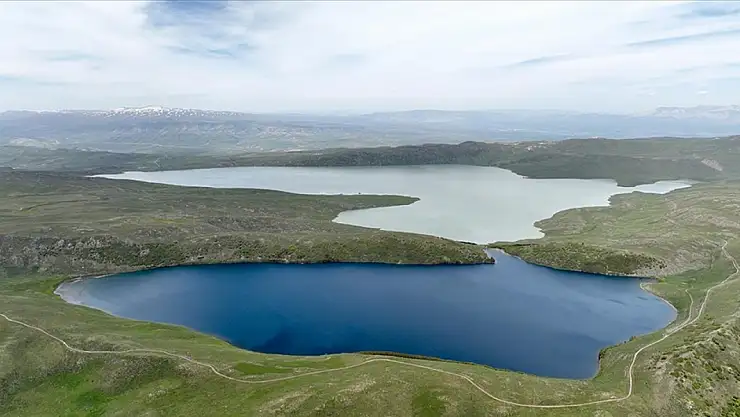Doğaseverlerin gözdesi oldu