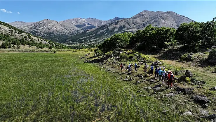 Doğaseverlerin yeni gözdesi oldu
