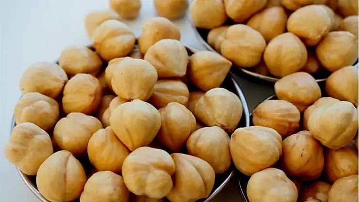 Düzce'de 22 Kasım 2025 Fındık Fiyatları: İlçelerde Güncel Piyasa Durumu