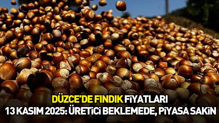 Düzce'de Fındık Fiyatları 13 Kasım 2025: Üretici Beklemede, Piyasa Sakin