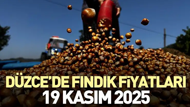 Düzce'de Fındık Fiyatları 19 Kasım 2025