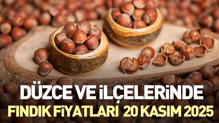 Düzce ve ilçelerinde Fındık Fiyatları 20 Kasım 2025