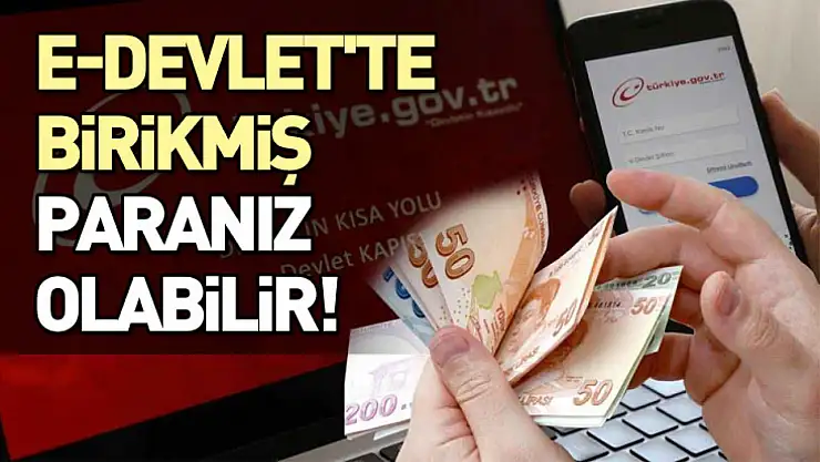E-Devlet'te birikmiş paranız olabilir!