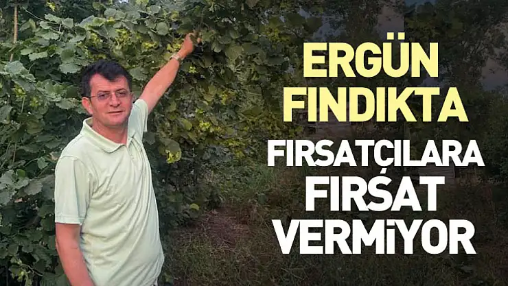 Ergün, Fındıkta Fırsatçılara Fırsat Vermiyor