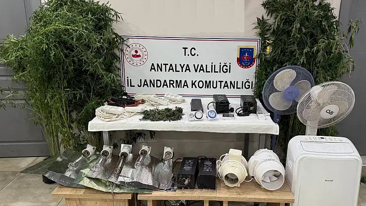 Evini uyuşturucu serasına çevirdi