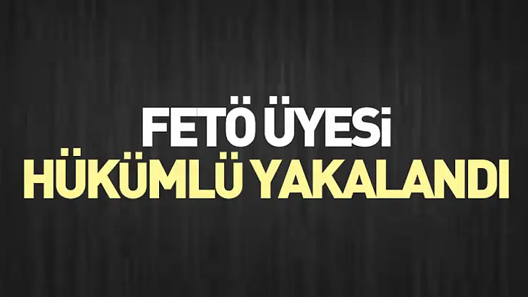 FETÖ Üyesi Hükümlü Yakalandı