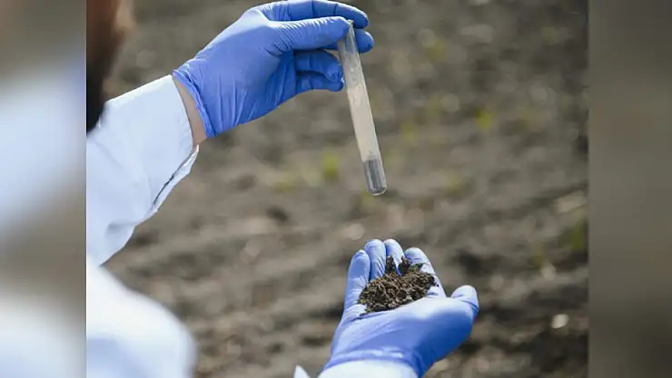 Fındık Hasadı Sonrası Çiftçilere Önemli Uyarı