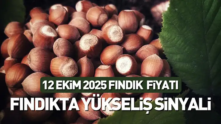 Fındıkta Yükseliş Sinyali: 12 Ekim Güncel Fiyatlar Açıklandı