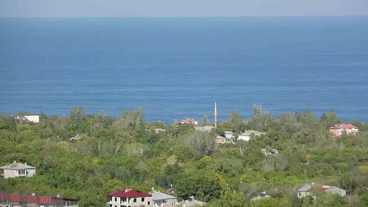 Gayrimenkul piyasası canlandı