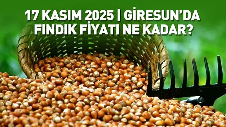 Giresun'da 17 Kasım Fındık Fiyatı | Yeni gün, yükselişle başladı!