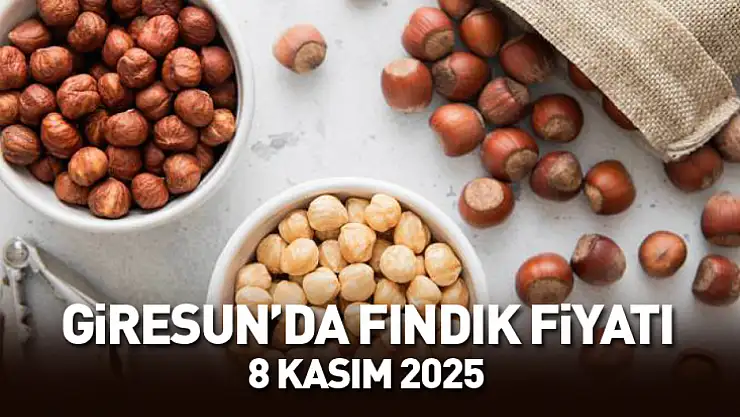 Giresun'da Fındık Fiyatları Yükseliyor: 8 Kasım 2025 Güncel Serbest Piyasa Rakamları