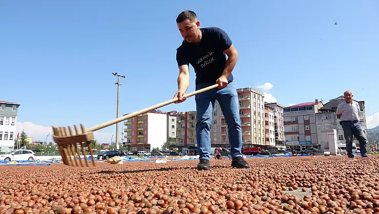 Giresun'da İlginç Takas: Kamyonetini Fındıkla Sattı