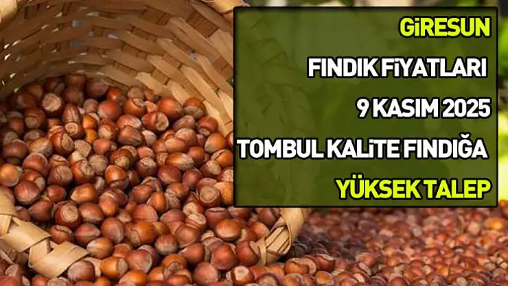 Giresun Fındık Fiyatları 9 Kasım 2025: Tombul Kalite Fındığa Yüksek Talep
