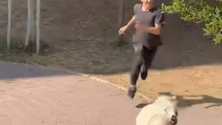 Hareketli anlar yaşandı