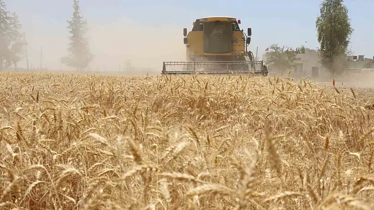 Hasat zamanı başladı