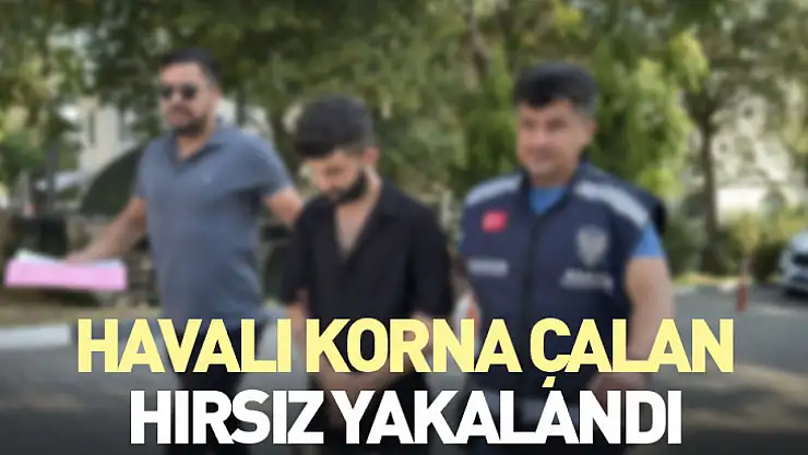 Havalı korna çalan hırsız yakalandı