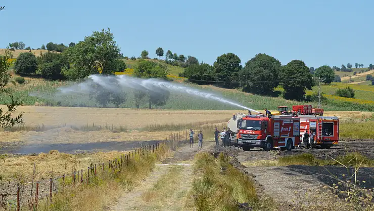 Havza'da 100 dekar tarım arazisi yandı