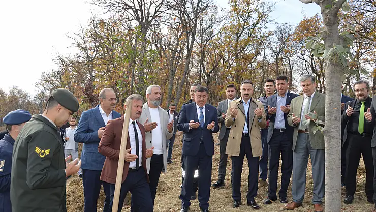 Havza'da fidan dikimi yapıldı