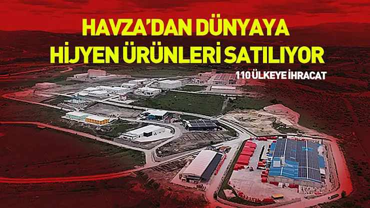 Havza'dan dünyaya hijyen ürünleri satılıyor