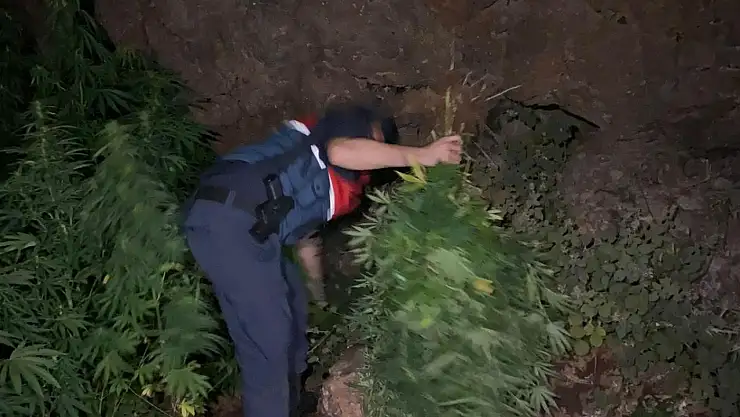 Hint keneviri ele geçirildi