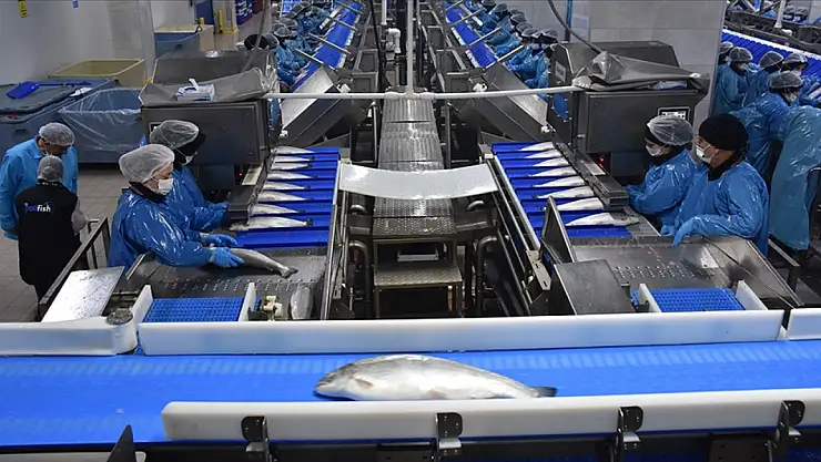 İhracat 369 milyon dolara yaklaştı