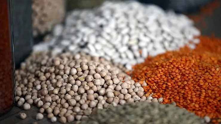 İhracat yılın ilk yarısında yüzde 4,5 arttı