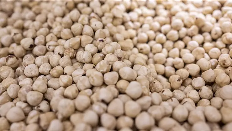 İhracatın yüzde 33'ü Trabzon'dan