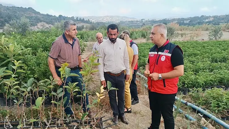 İl Tarım Müdürü, meyve fidanlarını inceledi