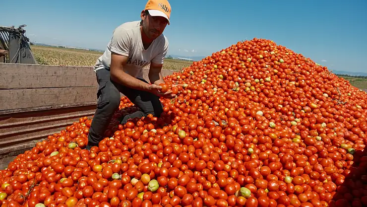 iPhone 17'nin Fiyatı, Çiftçinin Ürün Dağlarıyla Yarışıyor