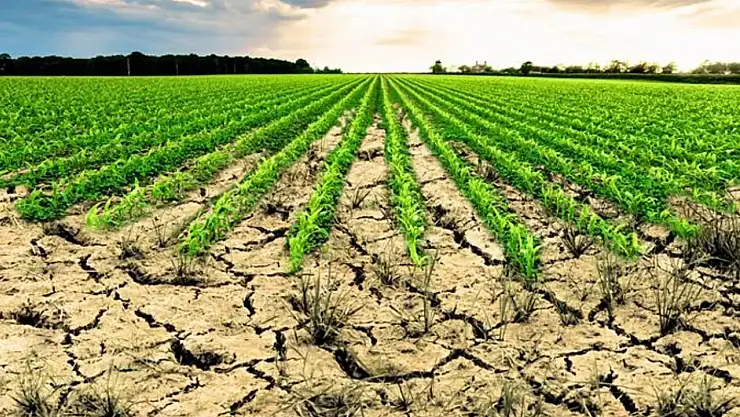 İşlenmeyen araziler yeniden üretime kazandırılıyor