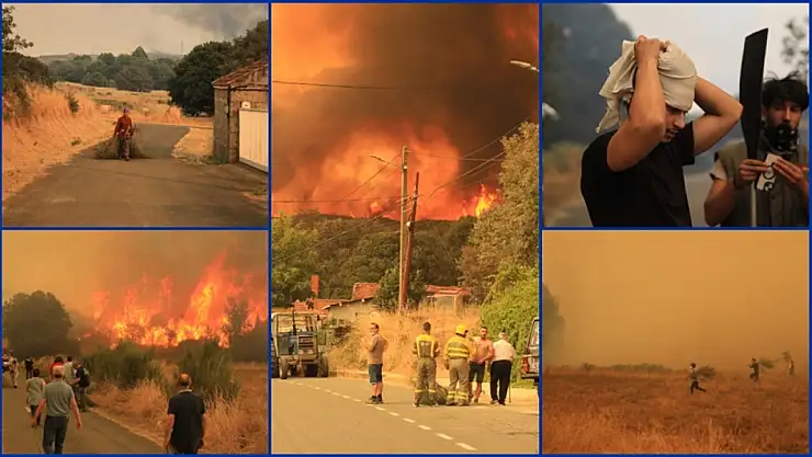 İspanya ve Portekiz'de orman yangınları devam ediyor