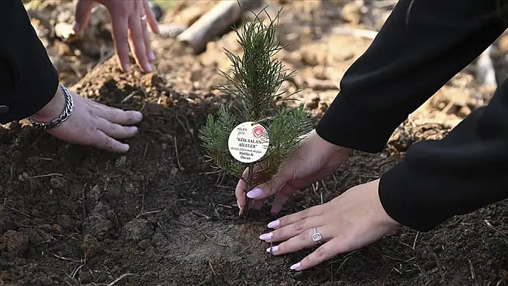 İstanbul'da 'Evlilik Kredisi'ne 26 bin 780 kişi başvurdu