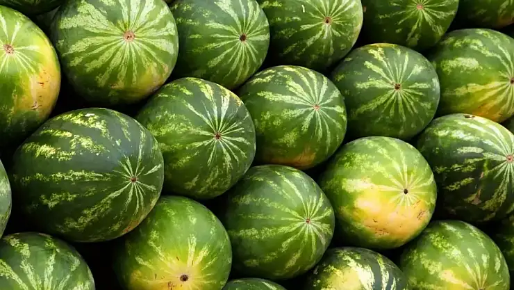 İşte karpuzdaki o büyük tehlike!