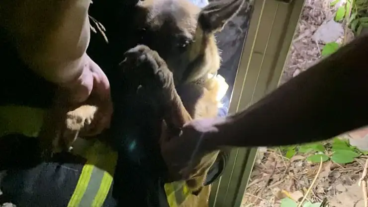 İtfaiye Ekipleri, Kuyuya Düşen Köpeği Kurtardı