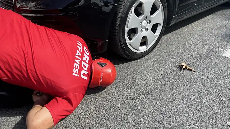 İtfaiyeden kedi kurtarma operasyonu