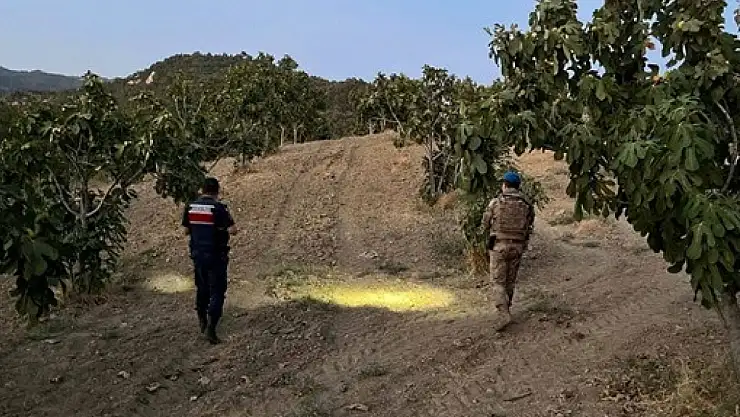 Jandarmadan İncir Hırsızlarına Karşı Nöbet