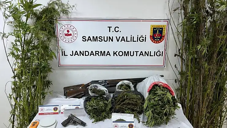 Jandarmadan uyuşturucu operasyonu