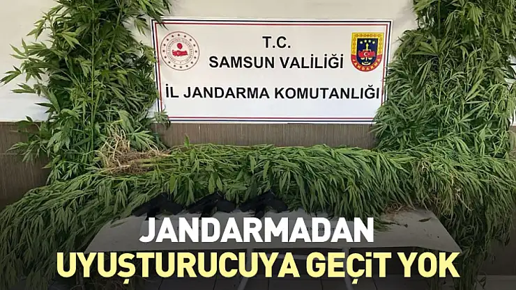 Jandarmadan uyuşturucuya geçit yok