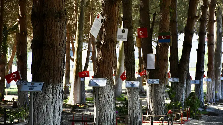 'Kahramanlar Ormanı, bizim en büyük dersliğimiz, okulumuz, ocağımız olacaktır'