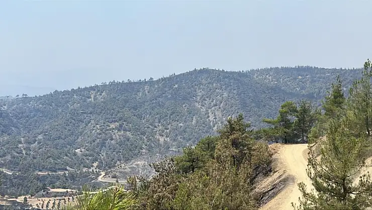 Kahramanmaraş'ta orman yangınına müdahale sürüyor