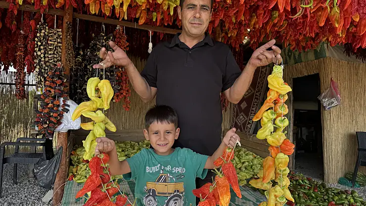 Kale Biberi Dünya Pazarına Çıkıyor