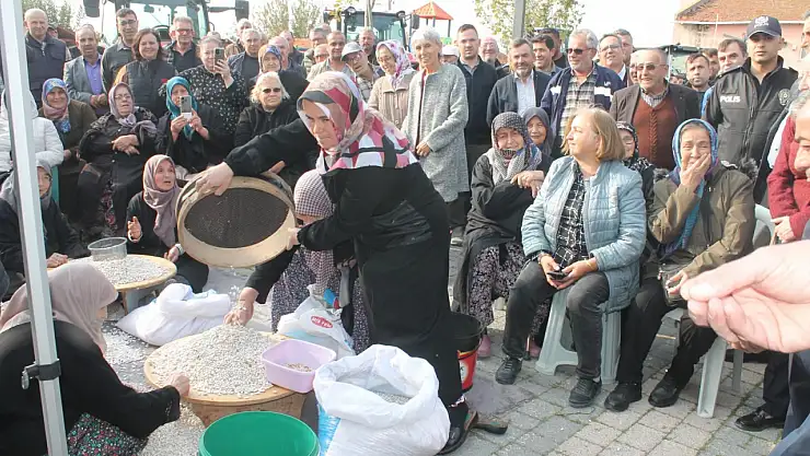 Kazak fasulyesinde ilk hasat festivali yapıldı