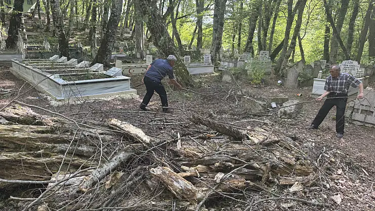 Kendiliğinden kopmuş olsa bile dalları evlerine götürmüyor