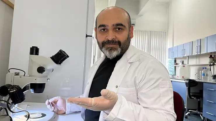 Keneyi strese sokacak uygulamalardan kaçının