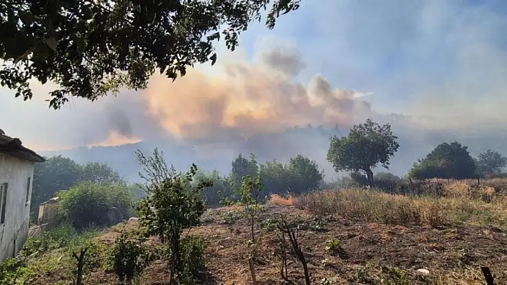 Kepsut'taki orman yangını köyü tehdit ediyor