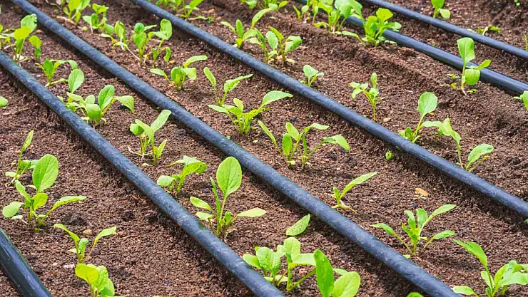 Kırsal kalkınmaya önemli destek