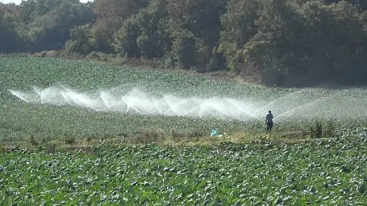 Kışlık sebze ekimi başladı